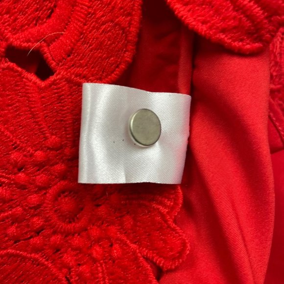 Piper Lace High Collar Mini Dress - Picture 4 of 12